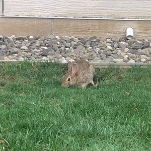 Meet your Posher, Diana